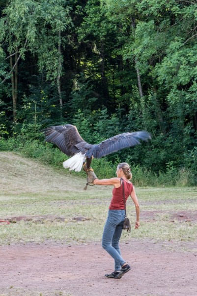 dsc_9317_20180705_1866612315