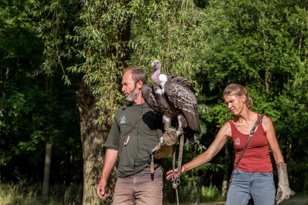 dsc_9336_20180705_1891297696