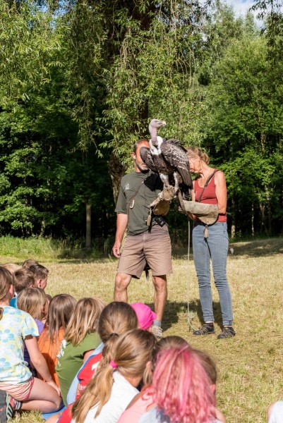 dsc_9339_20180705_1266680072