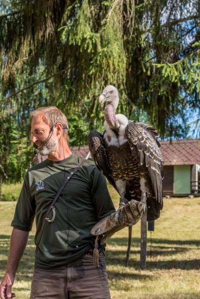 dsc_9347_20180705_1819878825