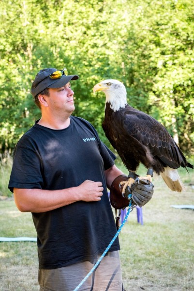 dsc_9374_20180705_1769620263