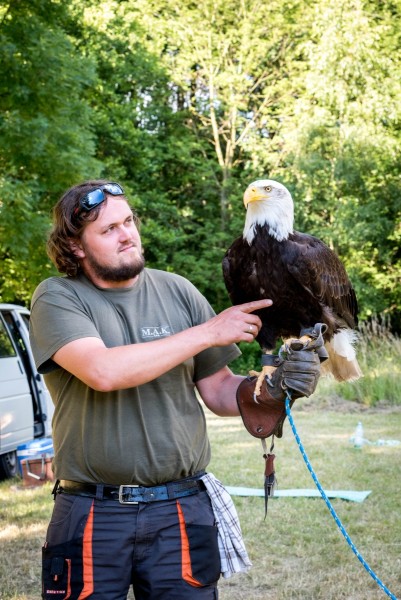 dsc_9379_20180705_1949034124