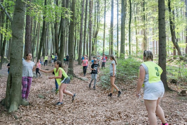 dsc_9713_20180725_1936877581