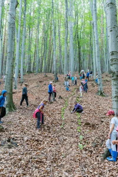 dsc_9736_20180725_1658749936