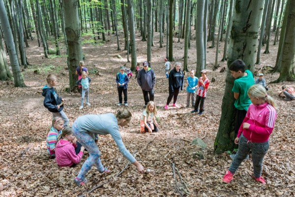 dsc_9749_20180725_1410699308