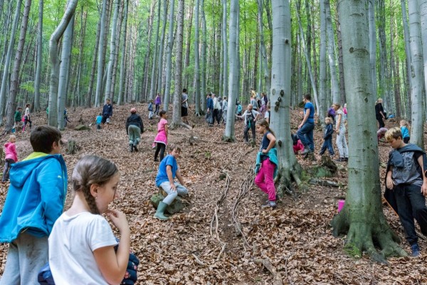 dsc_9753_20180725_1221204200