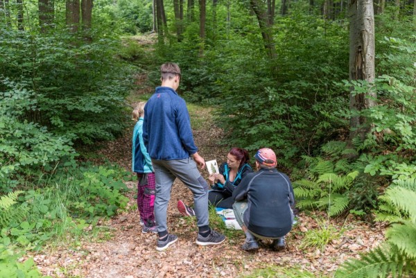 dsc_9779_20180725_1220094176