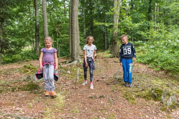 dsc_9783_20180725_1054328992