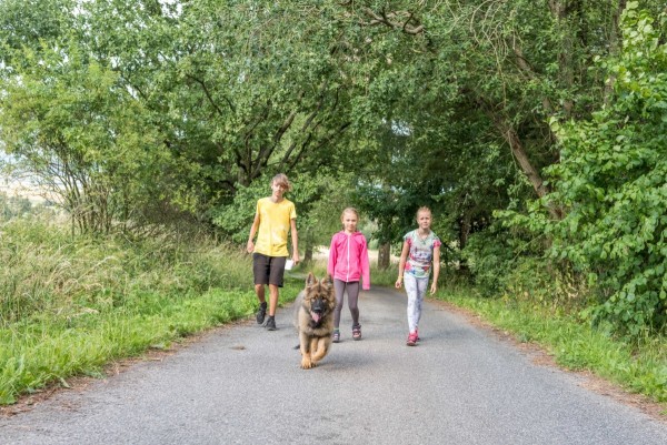 dsc_9800_20180725_1522292632