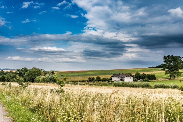 dsc_9808_20180725_1077894403