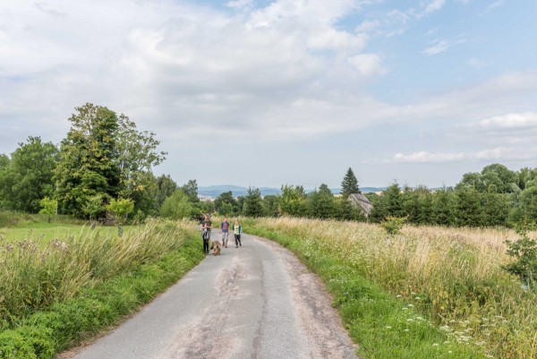 dsc_9811_20180725_1143384697