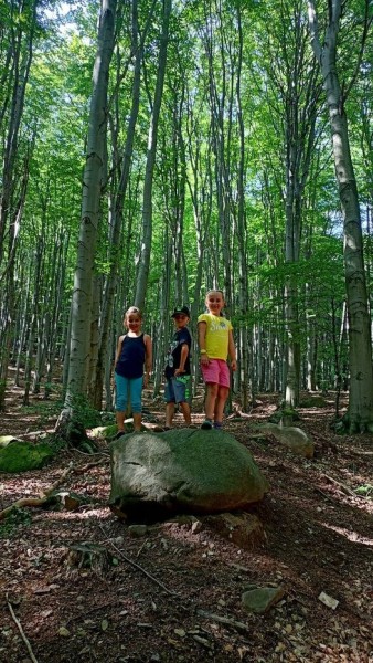 291758251_5216386965063234_5114698218518232242_n